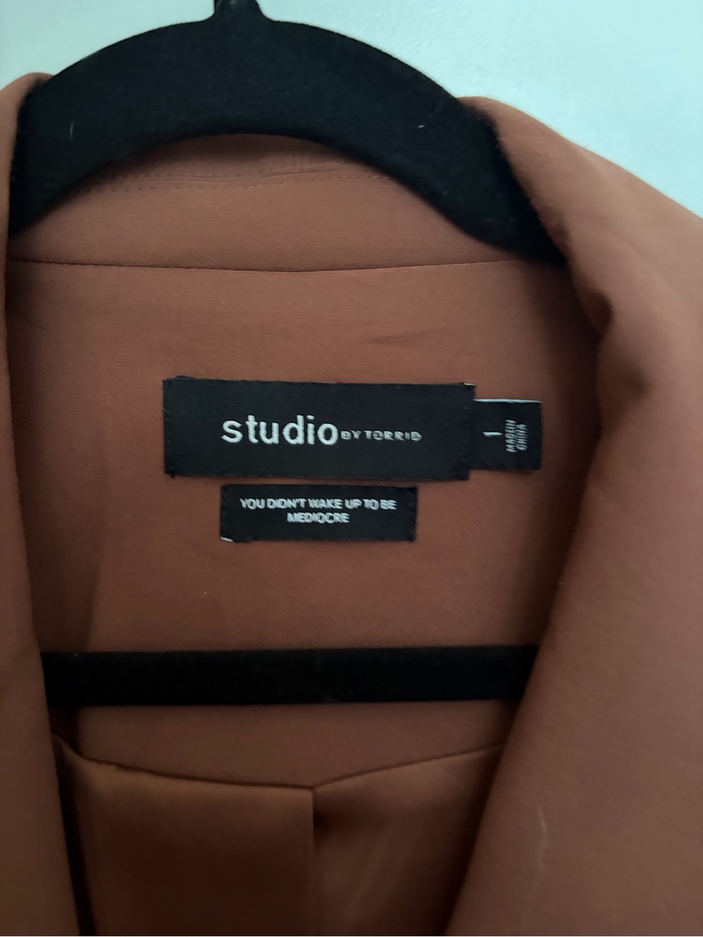 Torrid Woman Rust Suit - Picture 4 of 6
